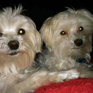 Meet your Posher, Vicki